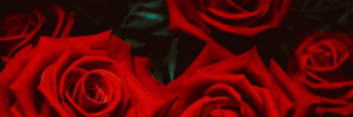 TheycallmeHabe's profile banner image