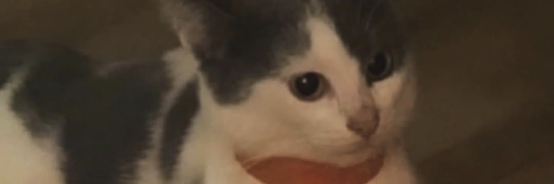 Sck0tt's profile banner image