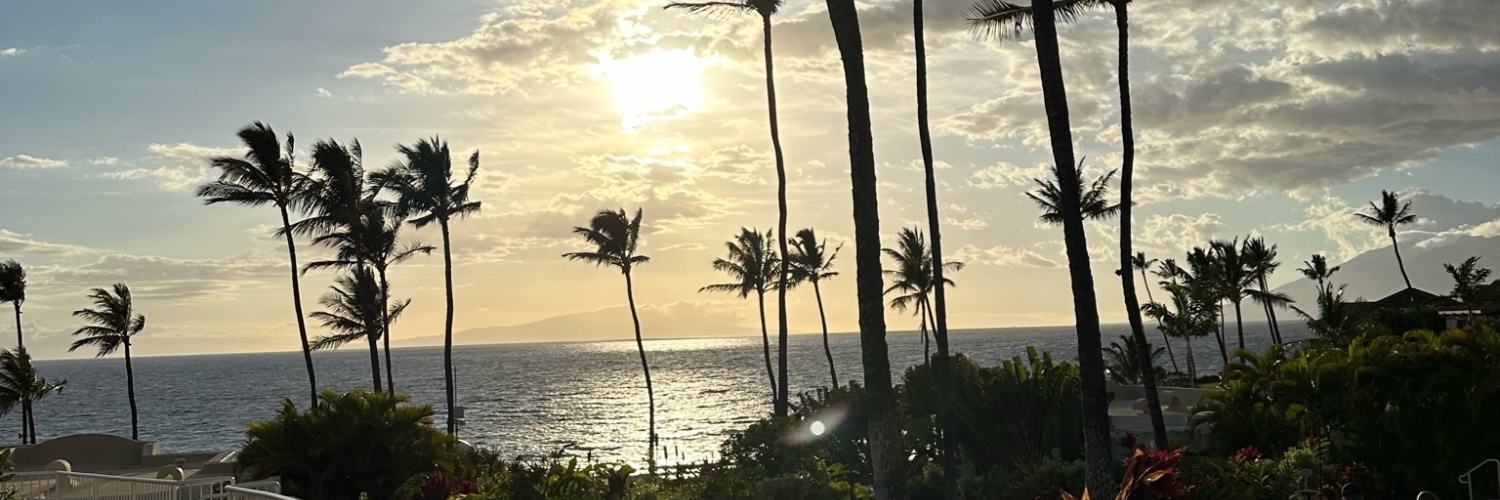 smwade22's profile banner image