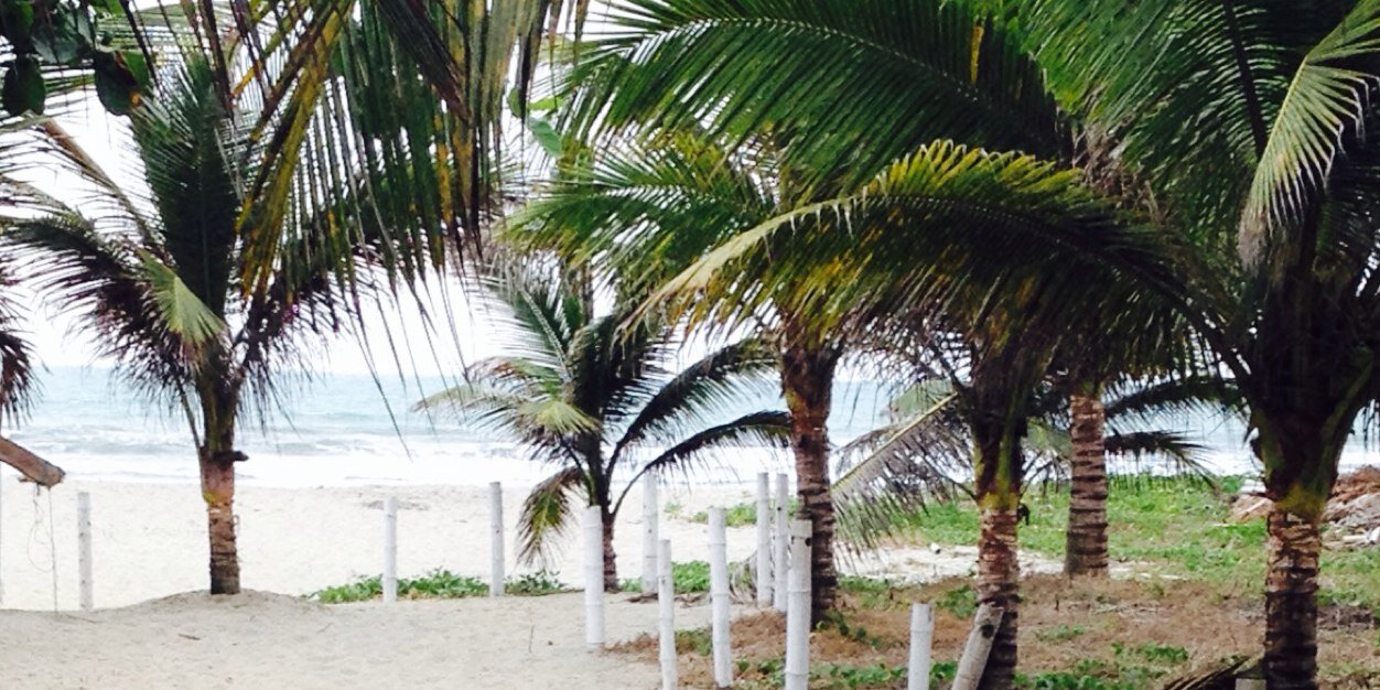 Belén Chávez L banner