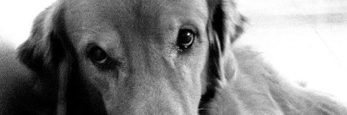 Alien65's profile banner image