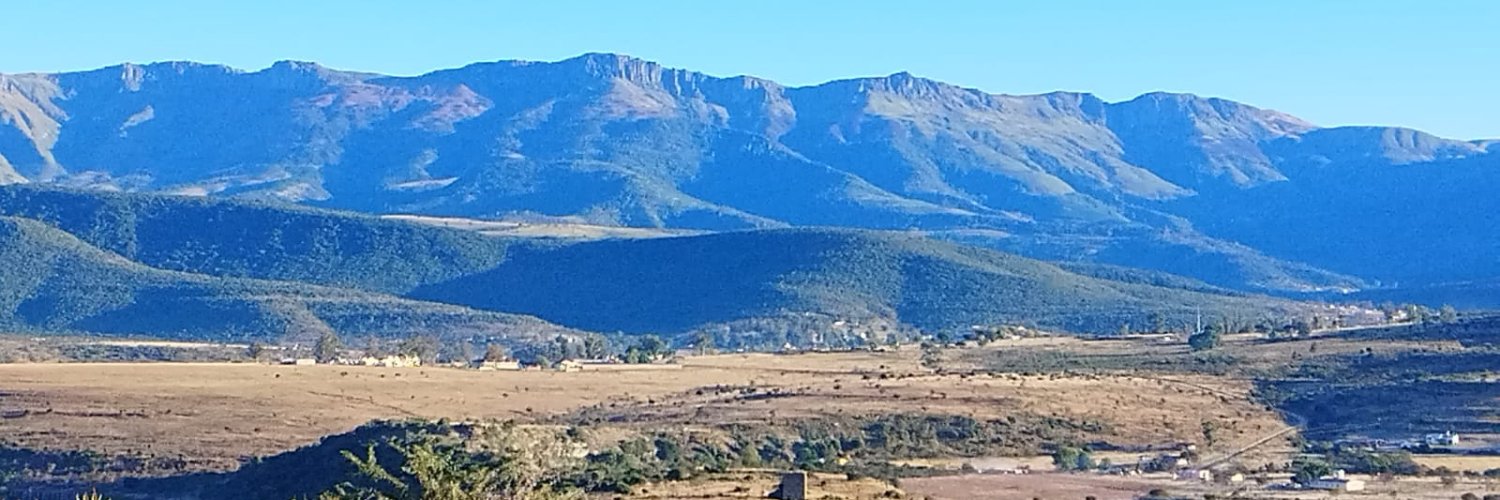 Thami Dickson banner