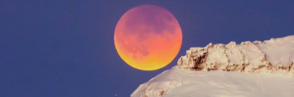 mariefichot's profile banner image