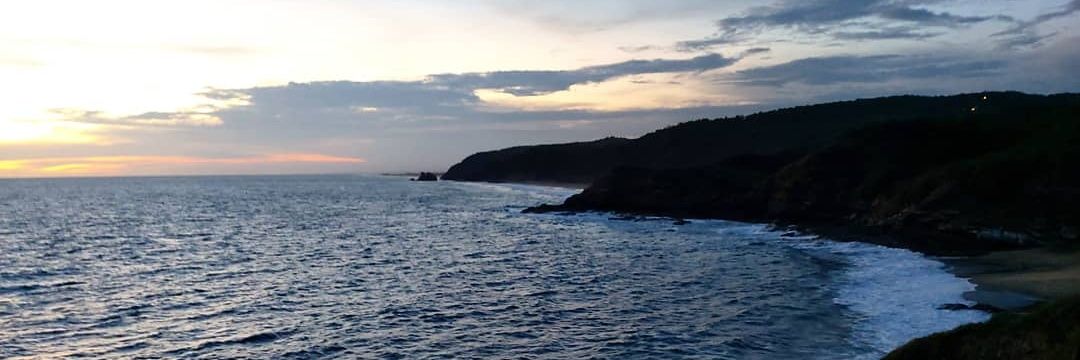 CoCoMoof's profile banner image