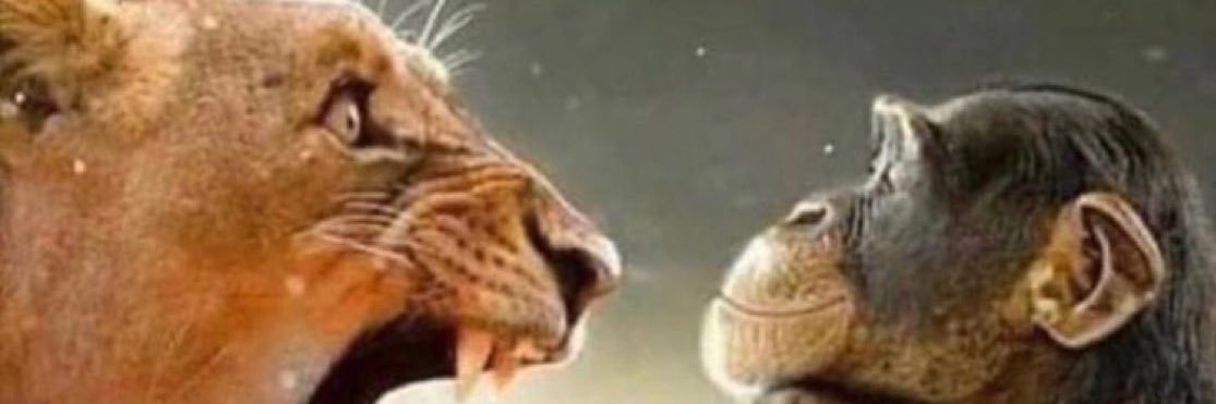 subsymsan's profile banner image