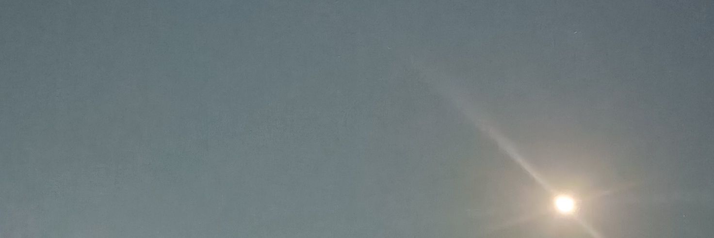 Sonalimahanti's profile banner image