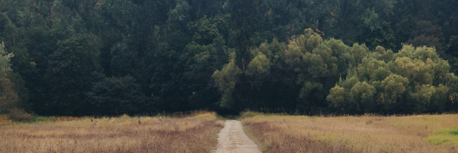 emcutler's profile banner image