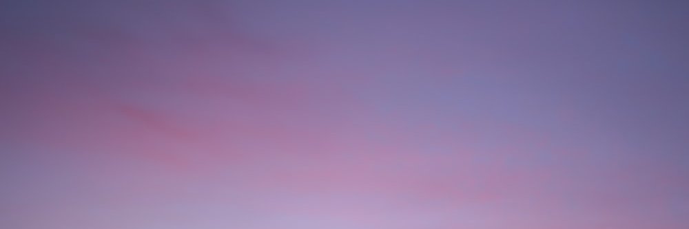 maracuchex's profile banner image