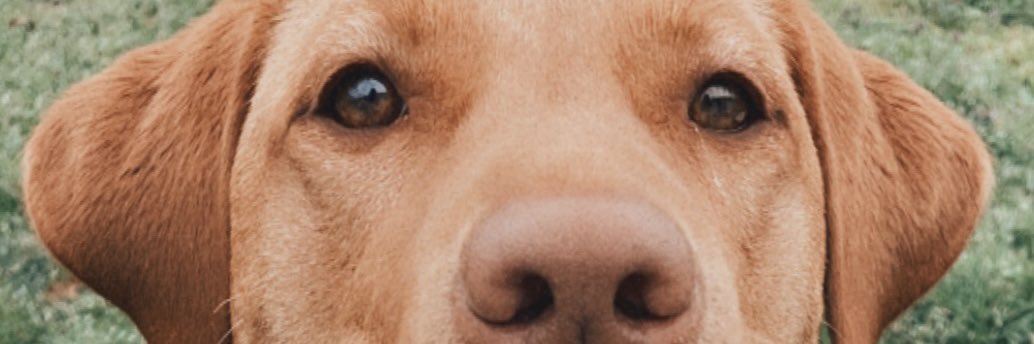 kel_swenn's profile banner image