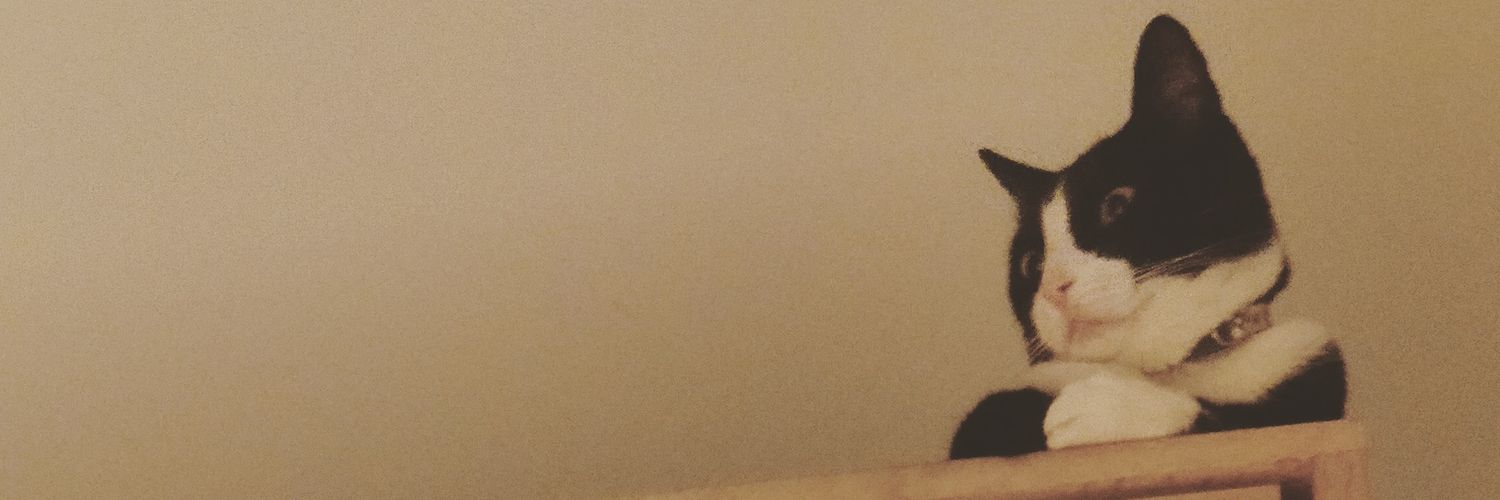 FelipeUribeS's profile banner image