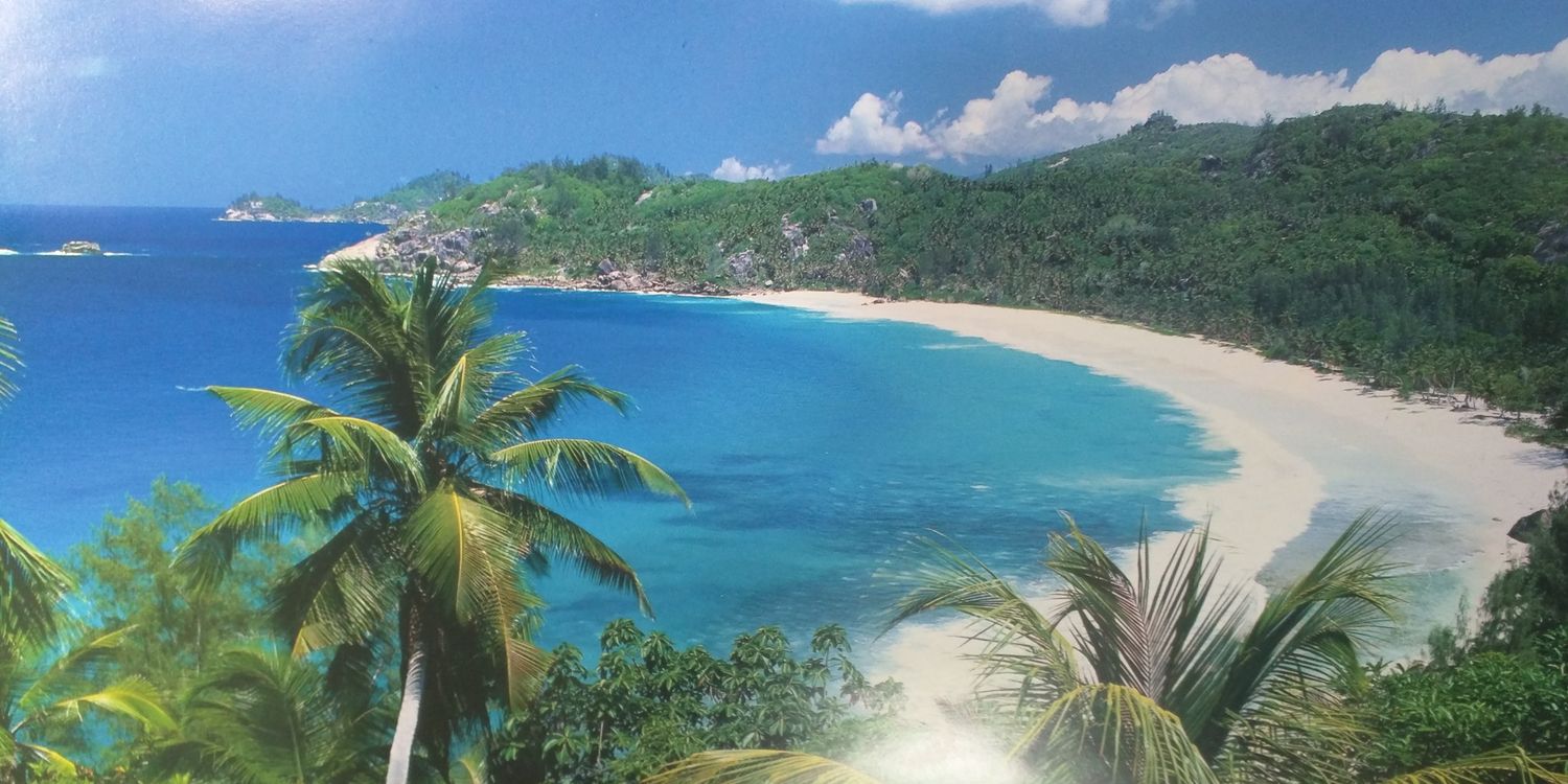 Jay Tagliarino banner