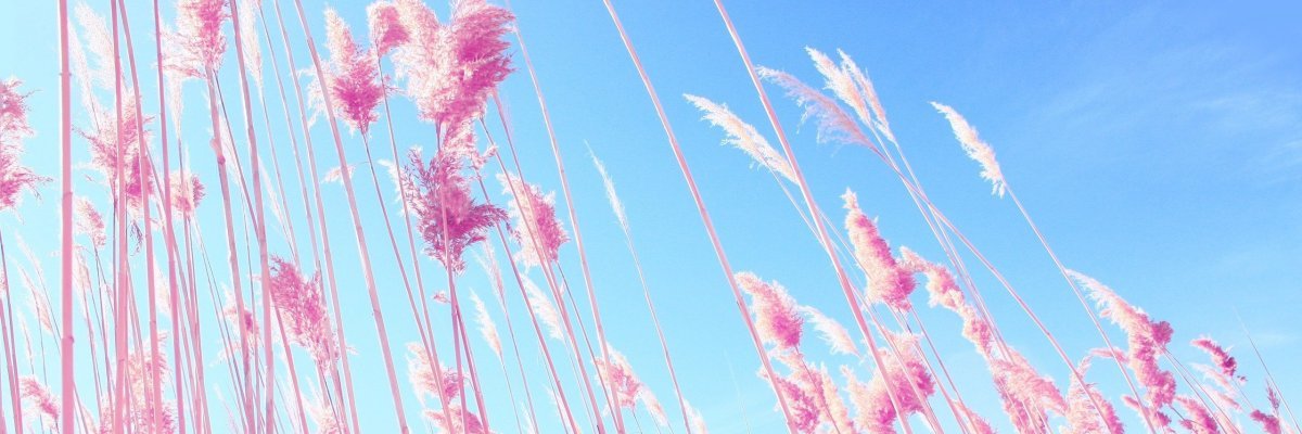 bee_glory's profile banner image