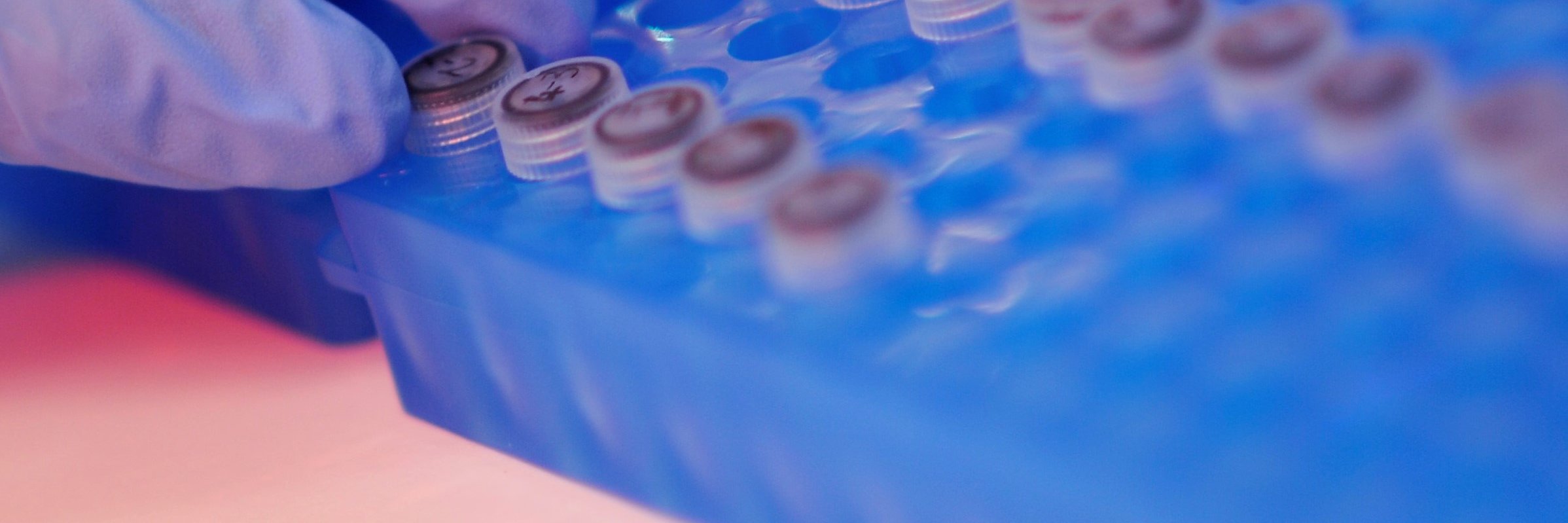 Syntara Limited banner