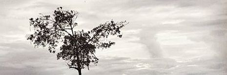 leonardoalex's profile banner image
