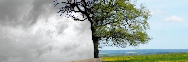 And1tossan's profile banner image