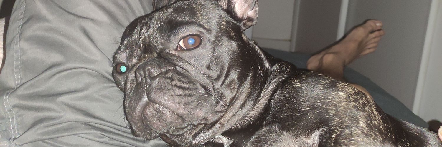Christiano_tx's profile banner image