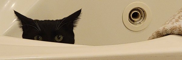 VOLVOX17 Profile Banner