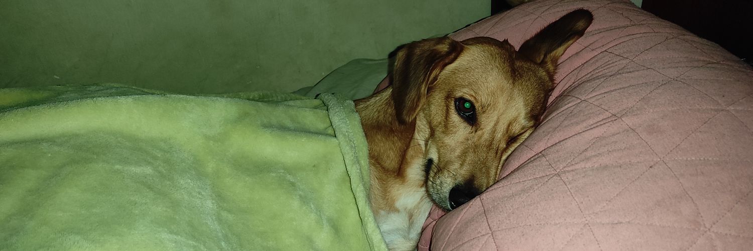 OMAR VARGAS-GRANDA banner