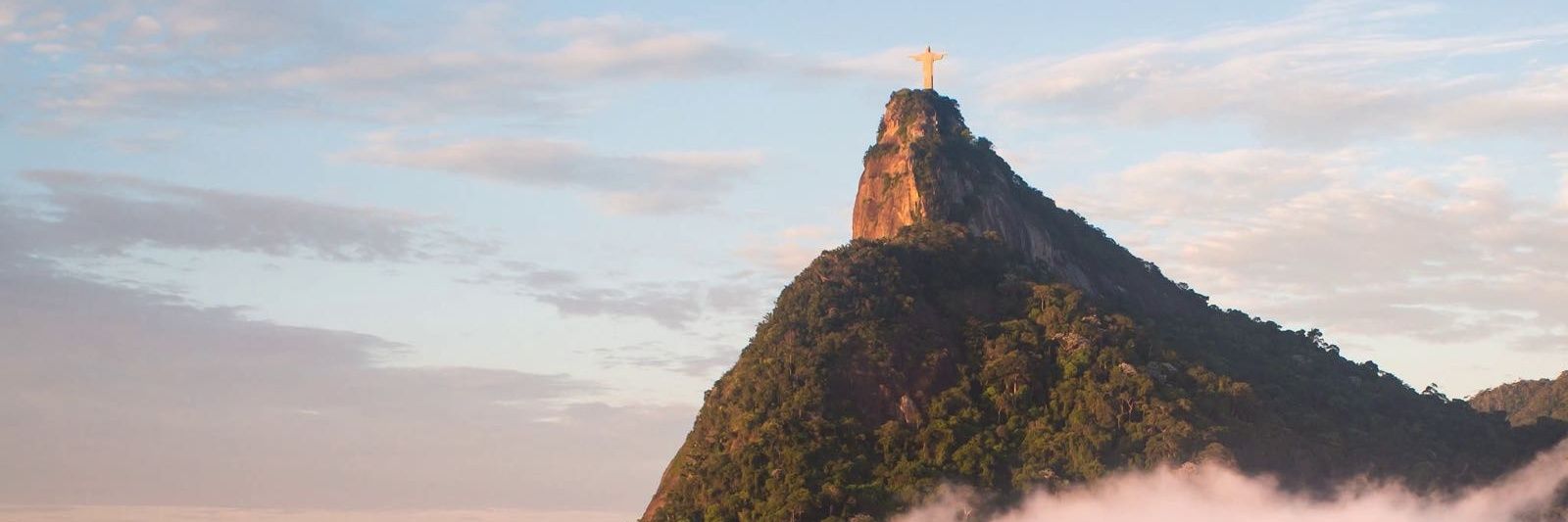 Vinícius banner