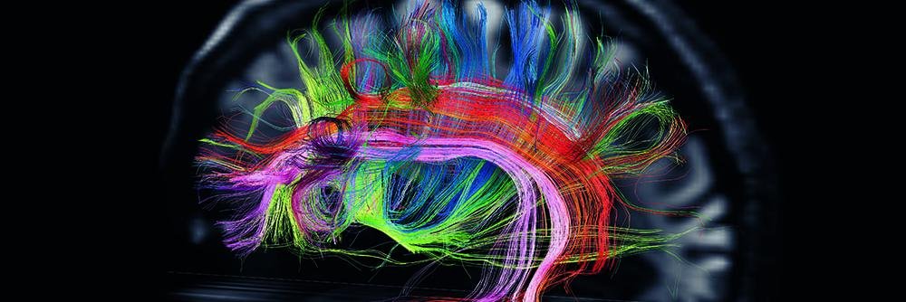 RaymiSafadit's profile banner image