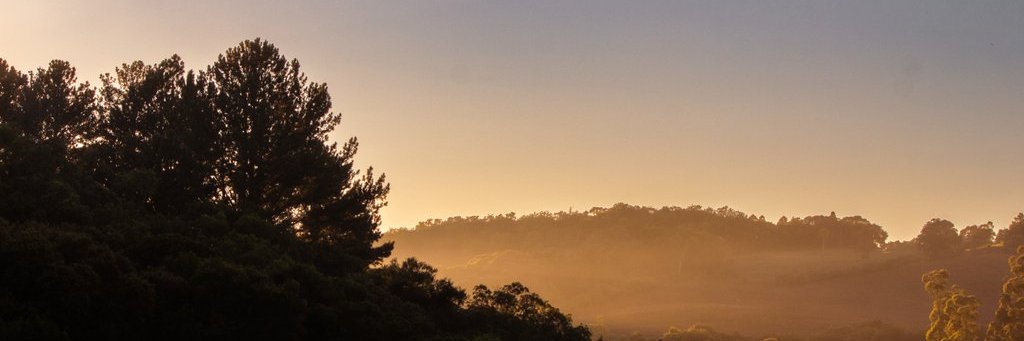 friopedro's profile banner image