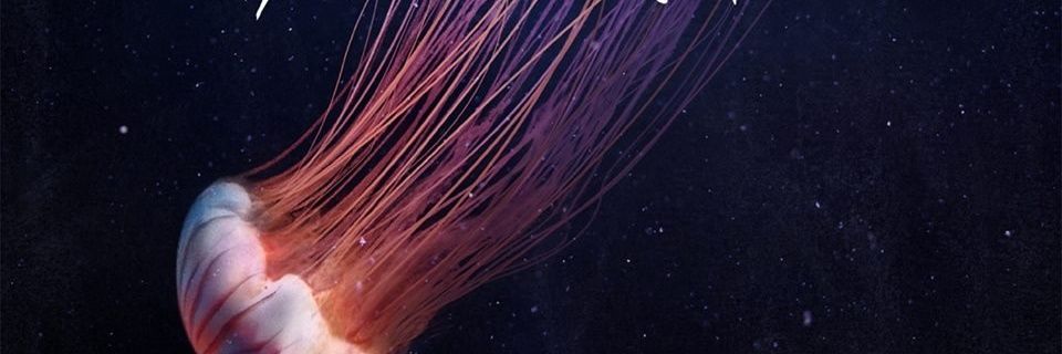 TheSageDeity's profile banner image