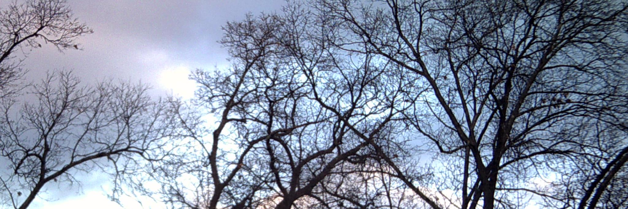 NiftyxSara's profile banner image