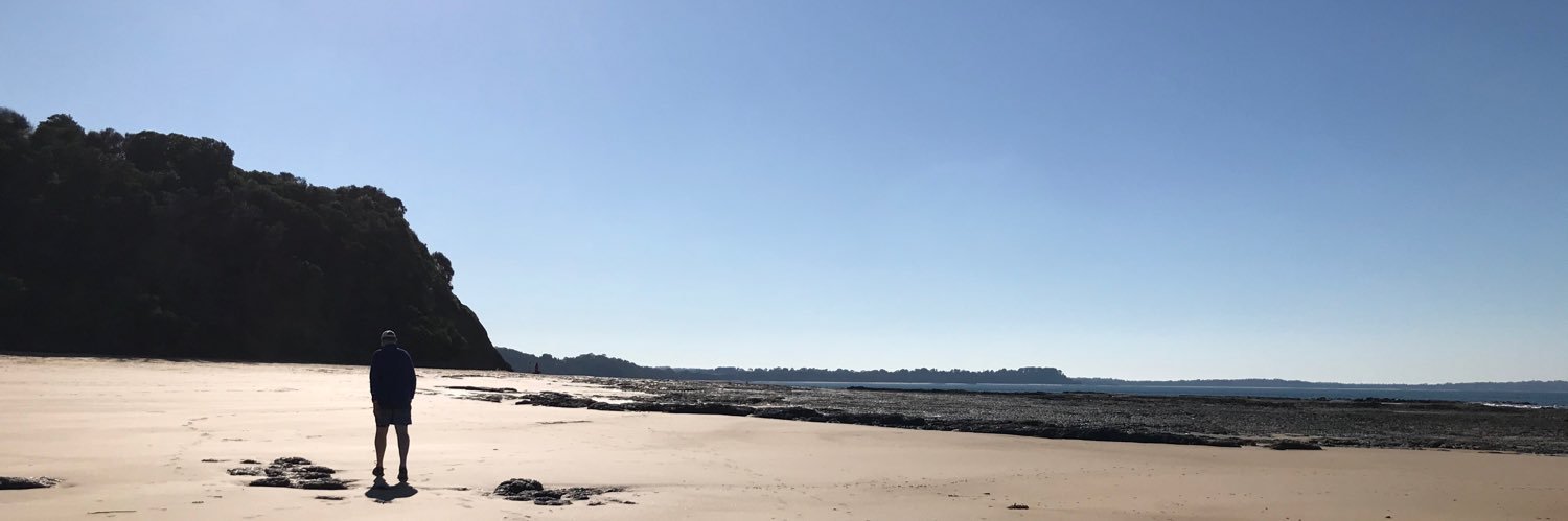 seecarrolltweet's profile banner image