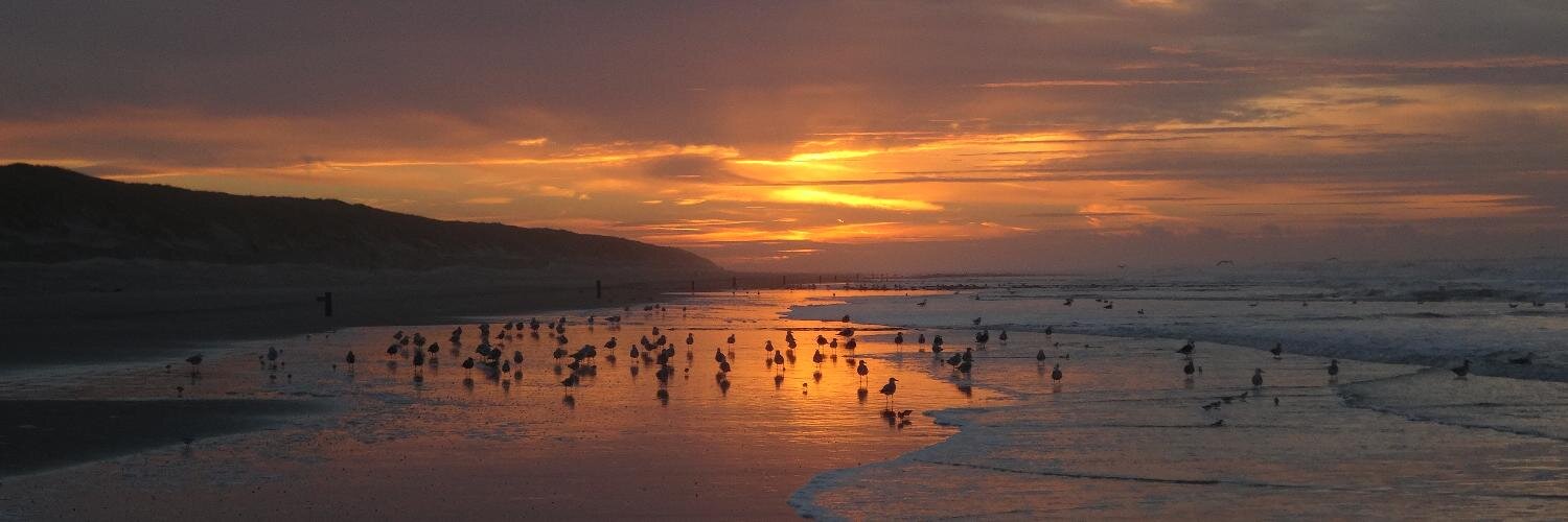 Vlieland's profile banner image