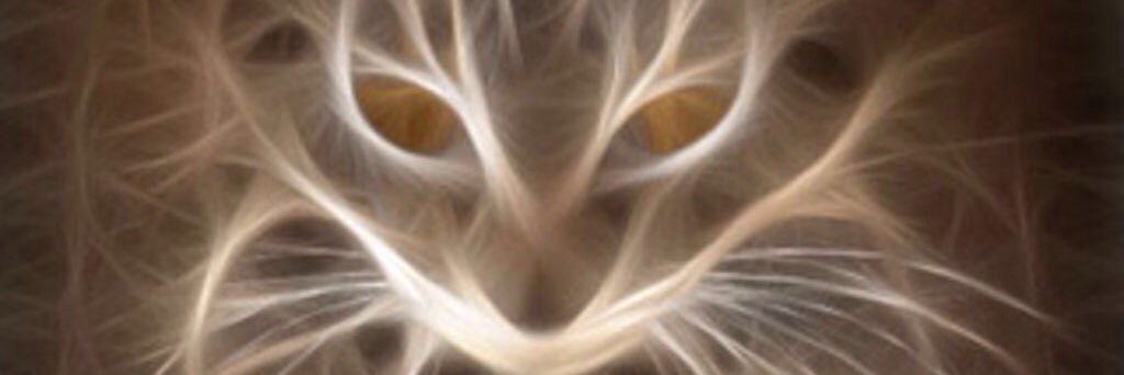 ymela4176's profile banner image