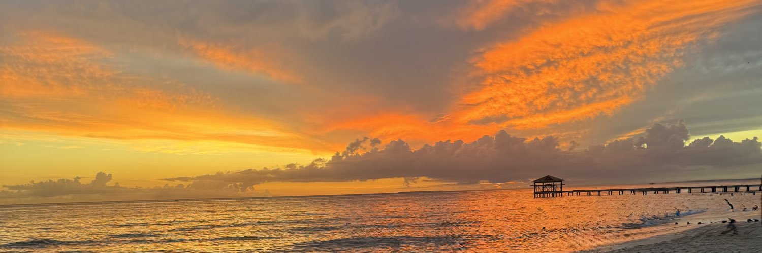 🍍's banner