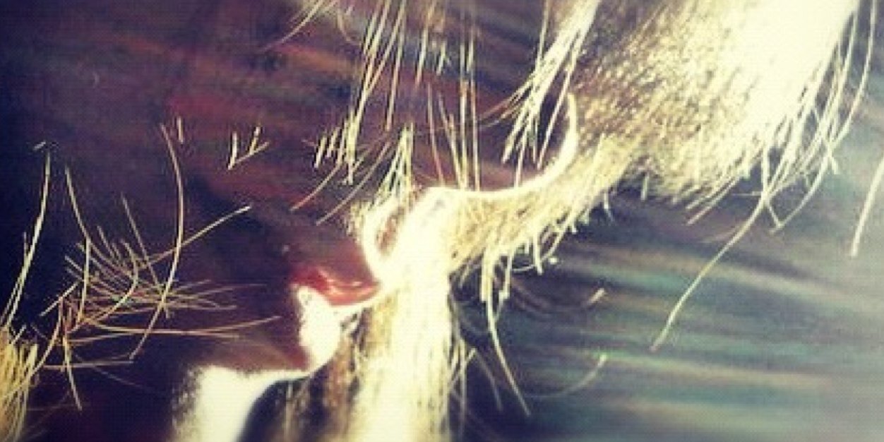 AndthRon's profile banner image