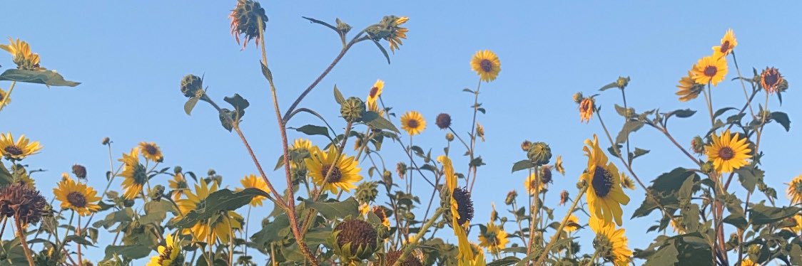 sambredvick's profile banner image