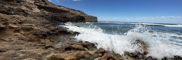 traceytab Profile Banner