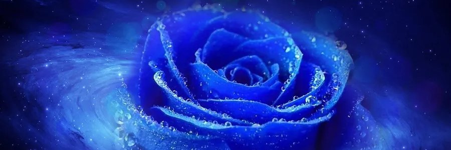 adijuliawan's profile banner image
