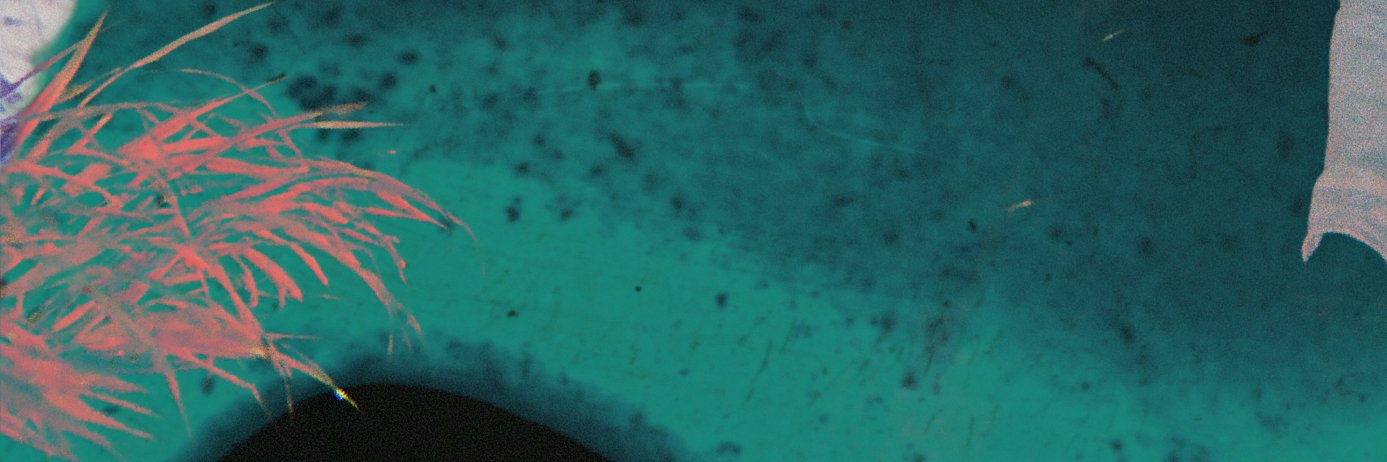 VEELA banner