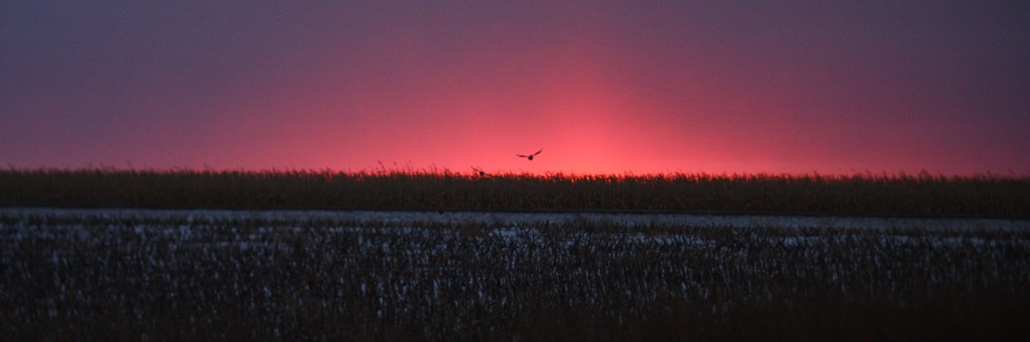 Shane Edwards banner