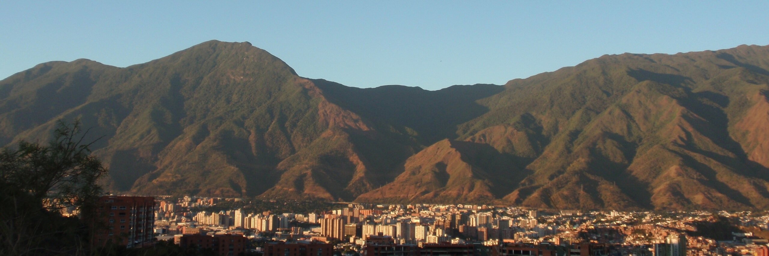 Nanette_a's profile banner image