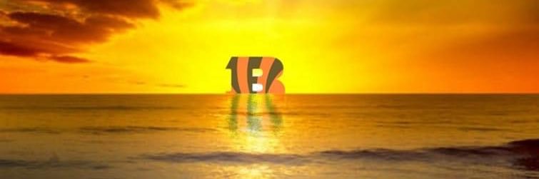 nco22's profile banner image
