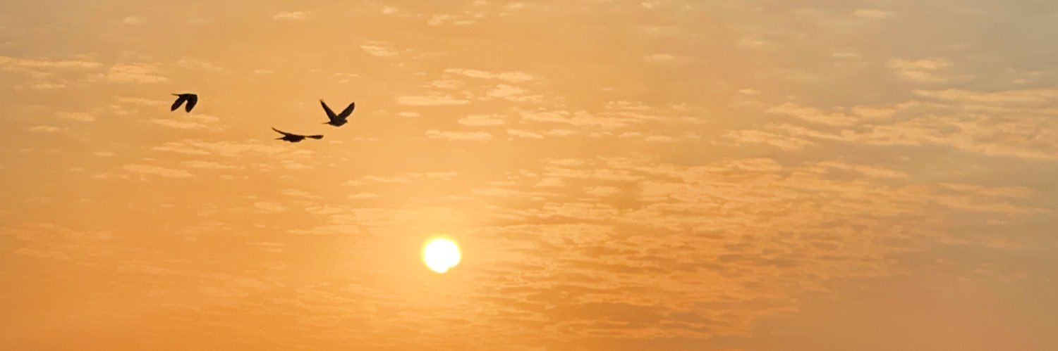 joyangelae's profile banner image