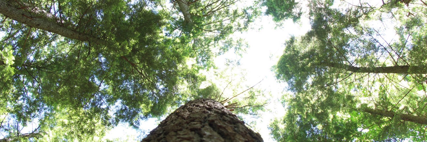 wildmanresort's profile banner image