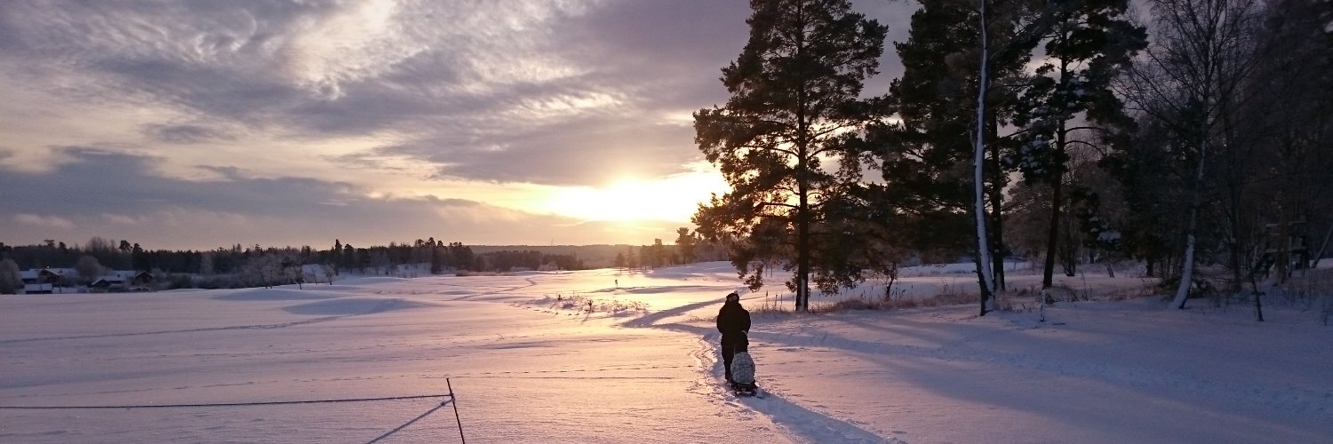 sirjaydee's profile banner image