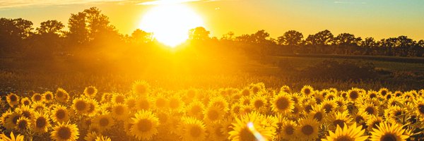 Gidonald Profile Banner