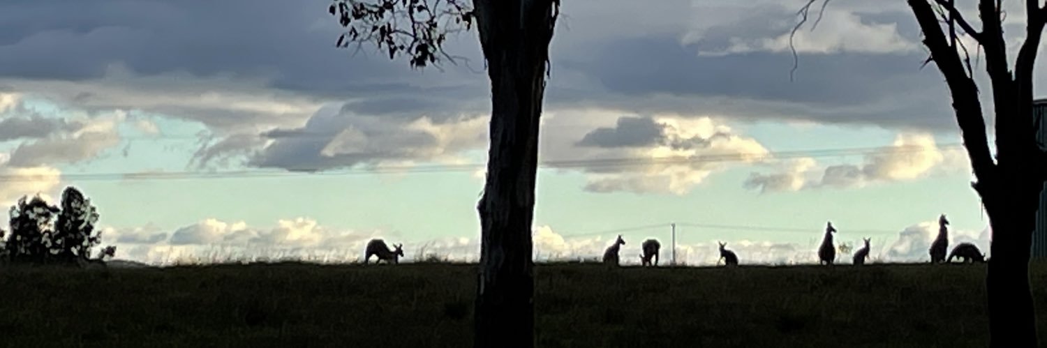 soffihaught's profile banner image