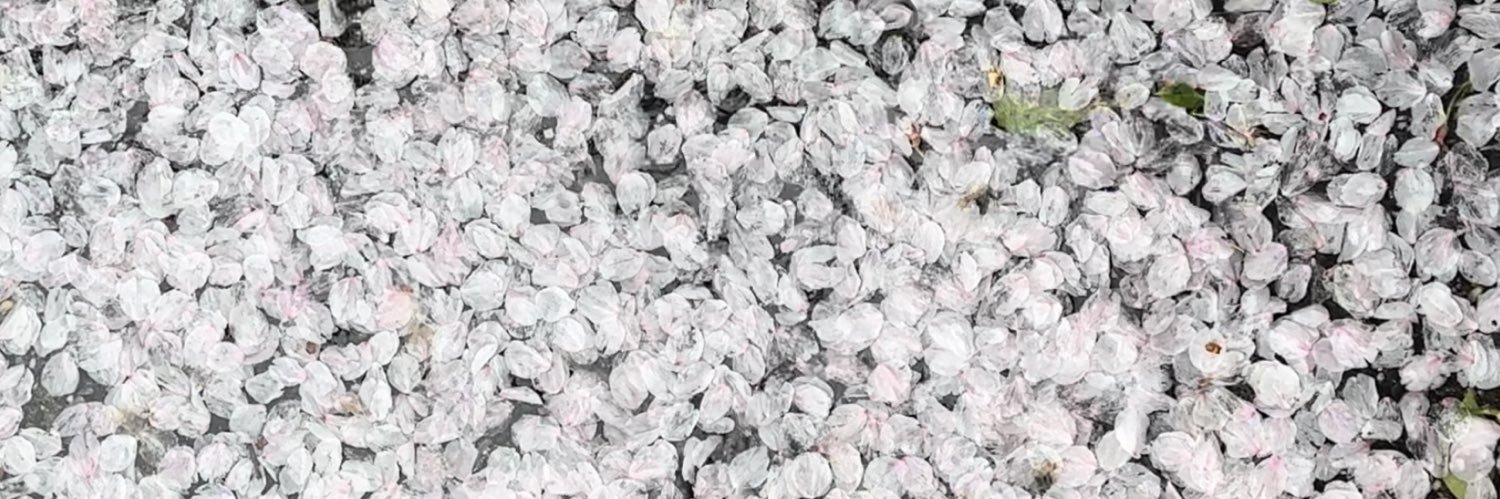 Mio Yokomizo（みおπ） banner