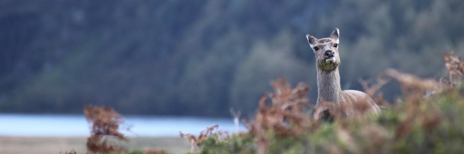 Arnaud Jeulin banner