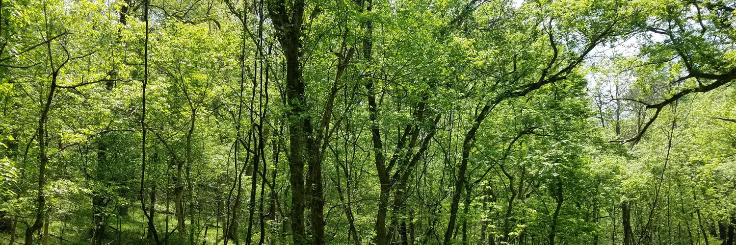 Jeremy_Eckert95's profile banner image