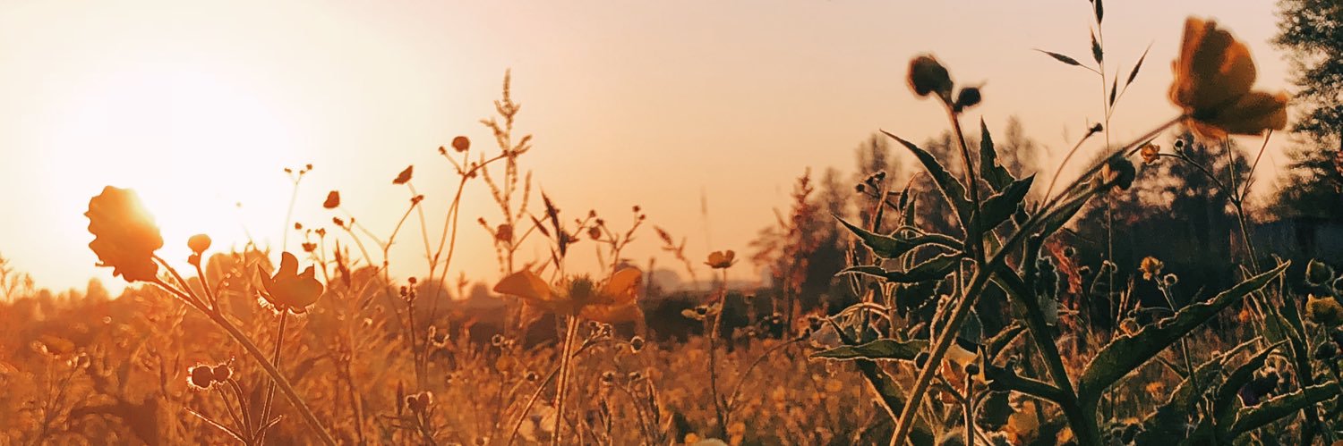 Mark vd Linden banner