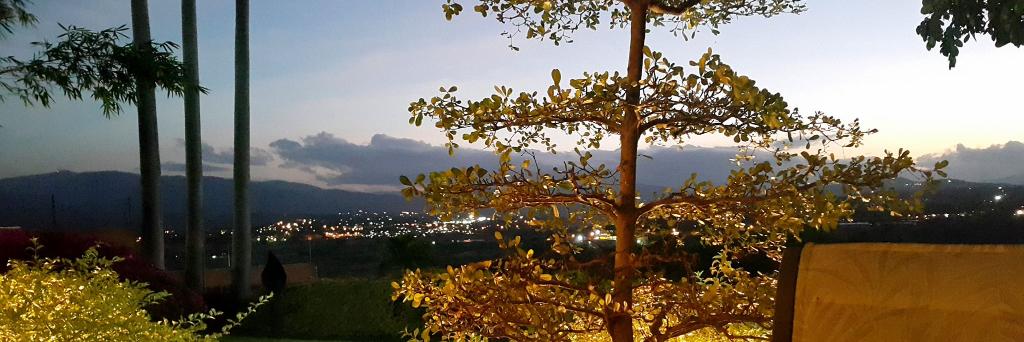 luisateyepez's profile banner image