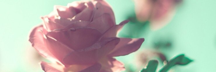muthemutiara's profile banner image